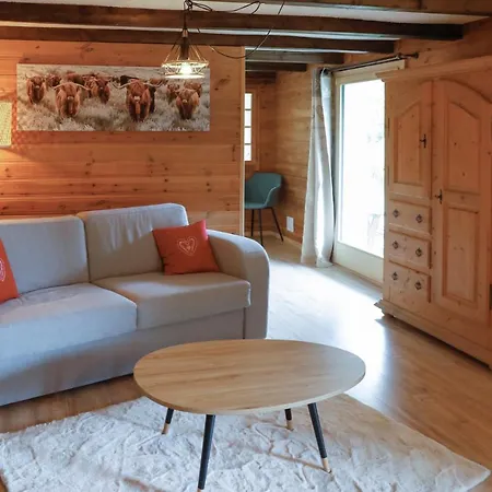 Studio Datcha * Les Diablerets
